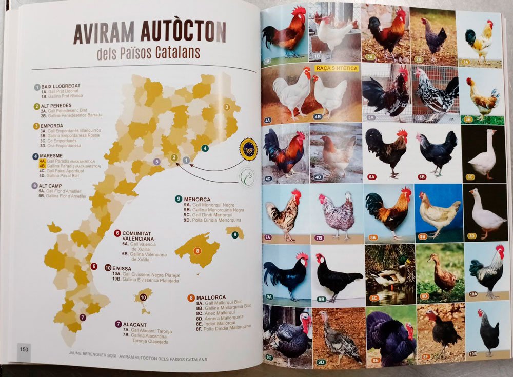 aviram autcton dels pasos catalans