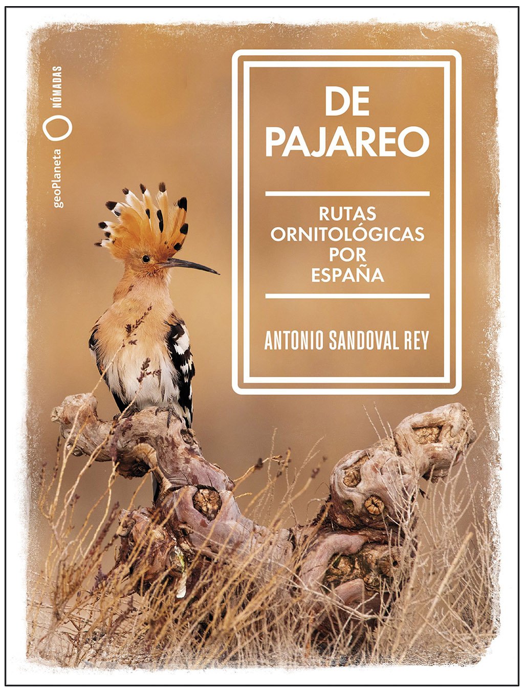 de pajareo. rutas ornitolgicas por espaa