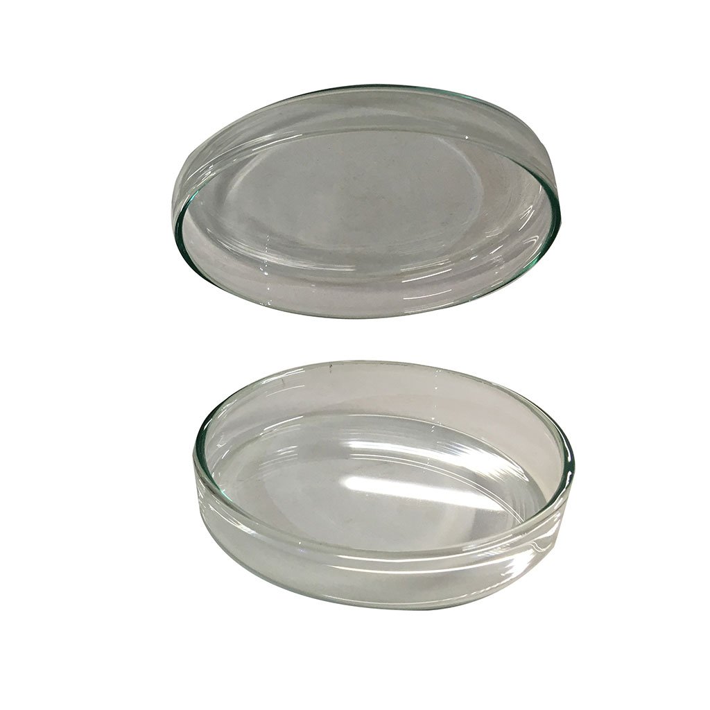 cpsula de petri 120 mm dimetro