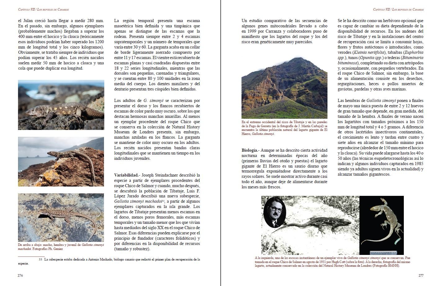 reptiles de macaronesia, azores, madeira, salvajes, canarias, cabo verde y litoral shara atlntico