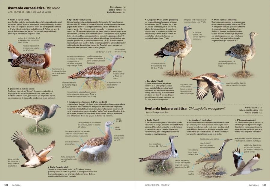 aves de europa. identificacin de todas las especies y plumajes (volumen 1 y 2)