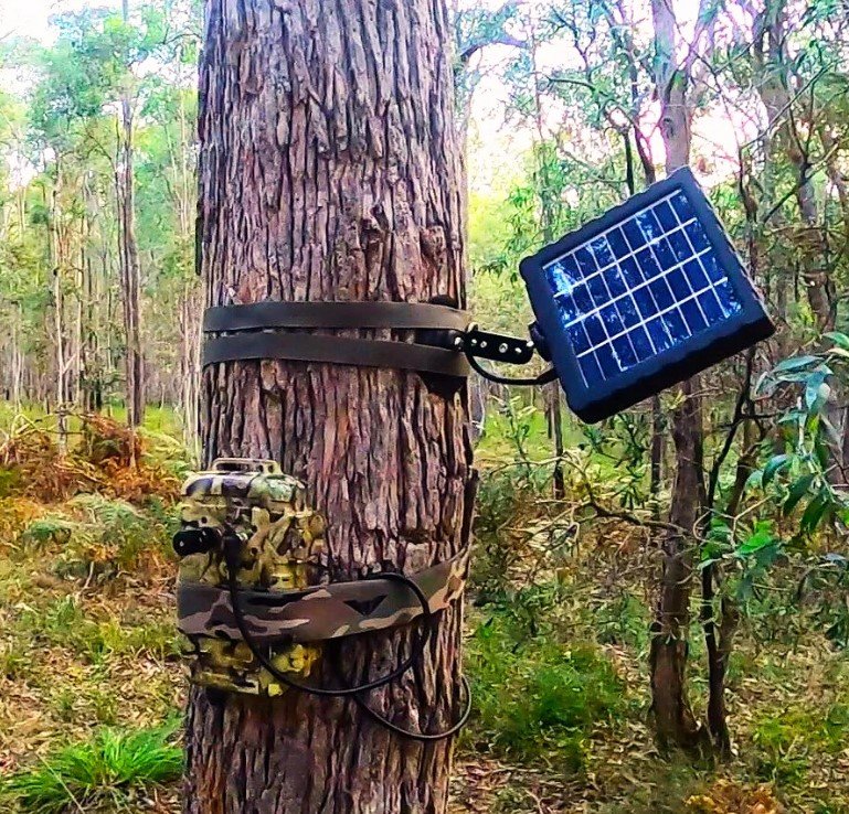 titley panel solar con batera para alimentar grabadoras ranger y swift