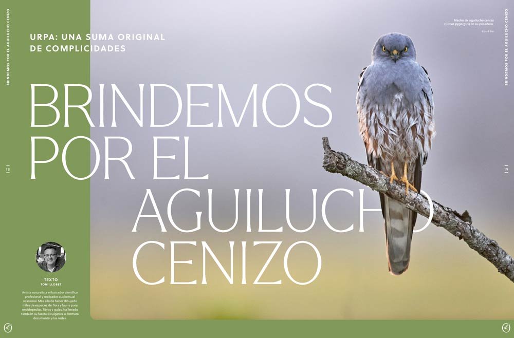oryx, la revista del amante de la naturaleza. nmero 05. versin impresa en castellano.