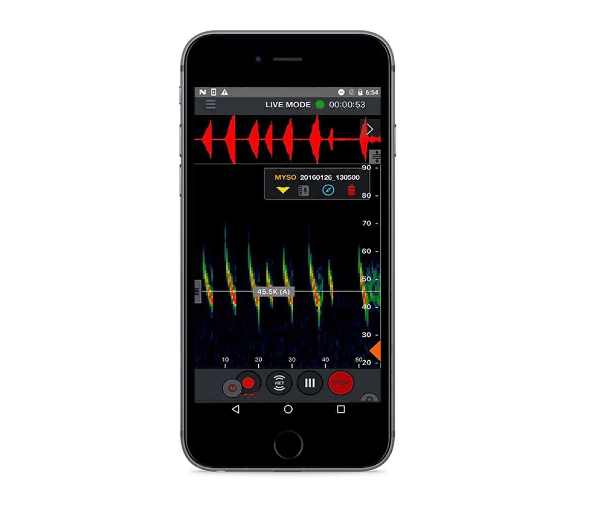 echo meter touch 2 usb-c compatible con android e ios para escuchar, grabar e identificar los ultrasonidos de murcilagos