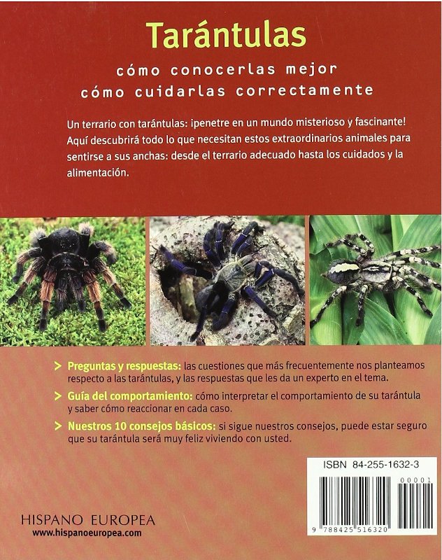 tarantulas. fascinantes y exticas