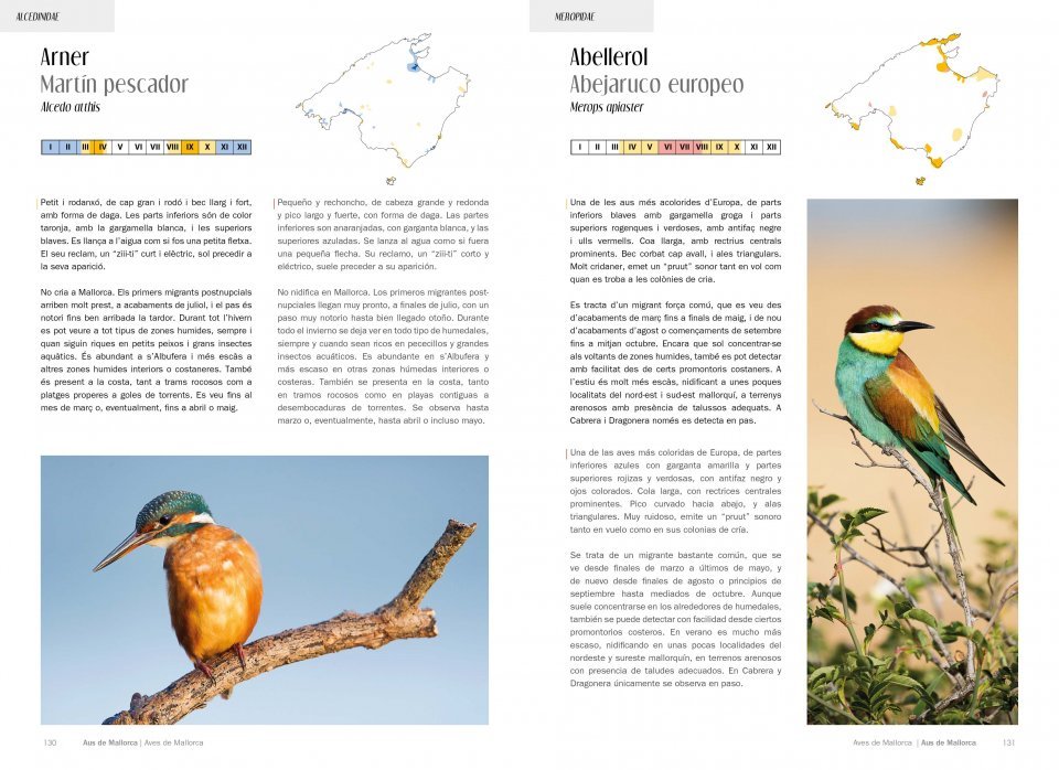 aus/aves de mallorca. on i quan observar-les / dnde y cundo observarlas