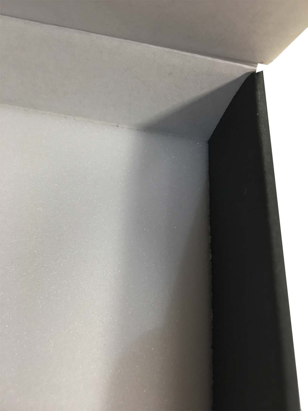 caja de cartn con base de foam para guardar insectos