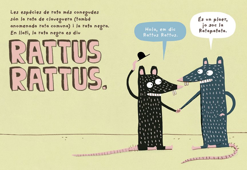 la rata. collecci bestioles