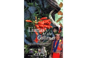 centroamrica y sudamrica