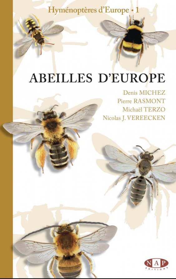 abeilles d'europe - hymnoptres d'europa 1