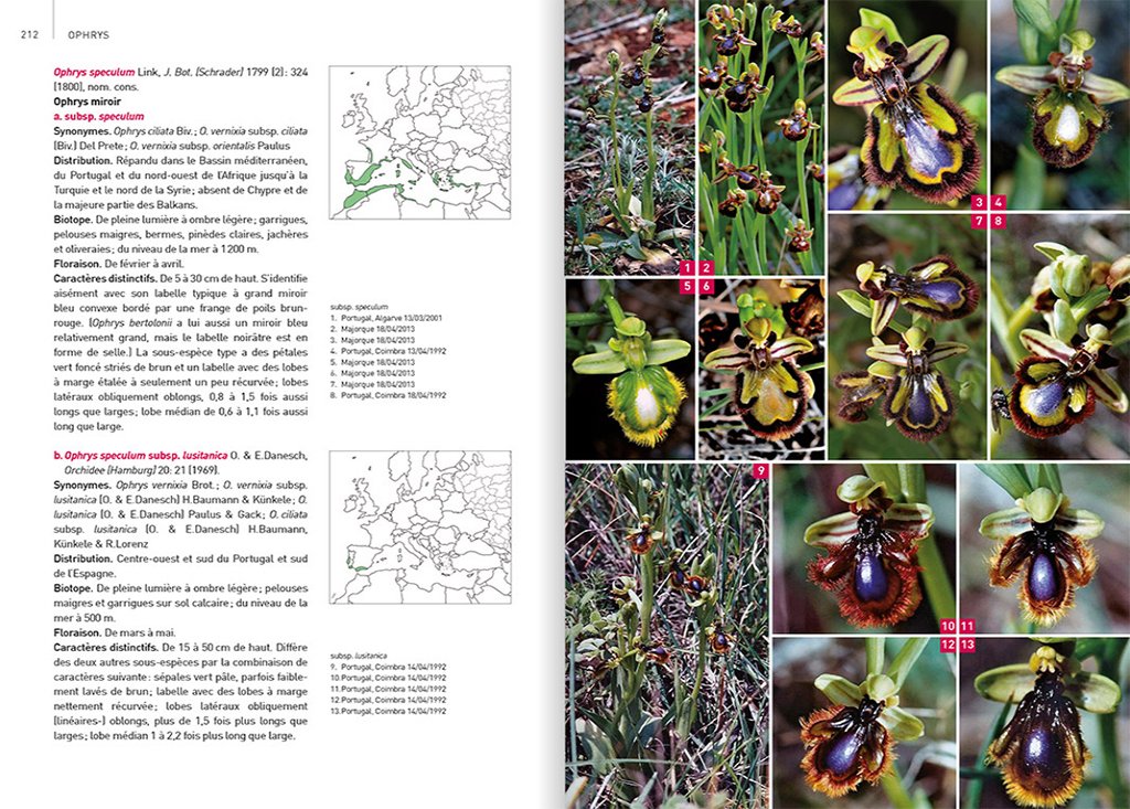 orchides d'europe & de mditerrane
