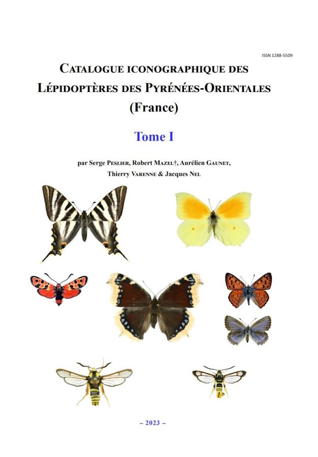 catalogue iconographique des lpidoptres des pyrnees-orientales