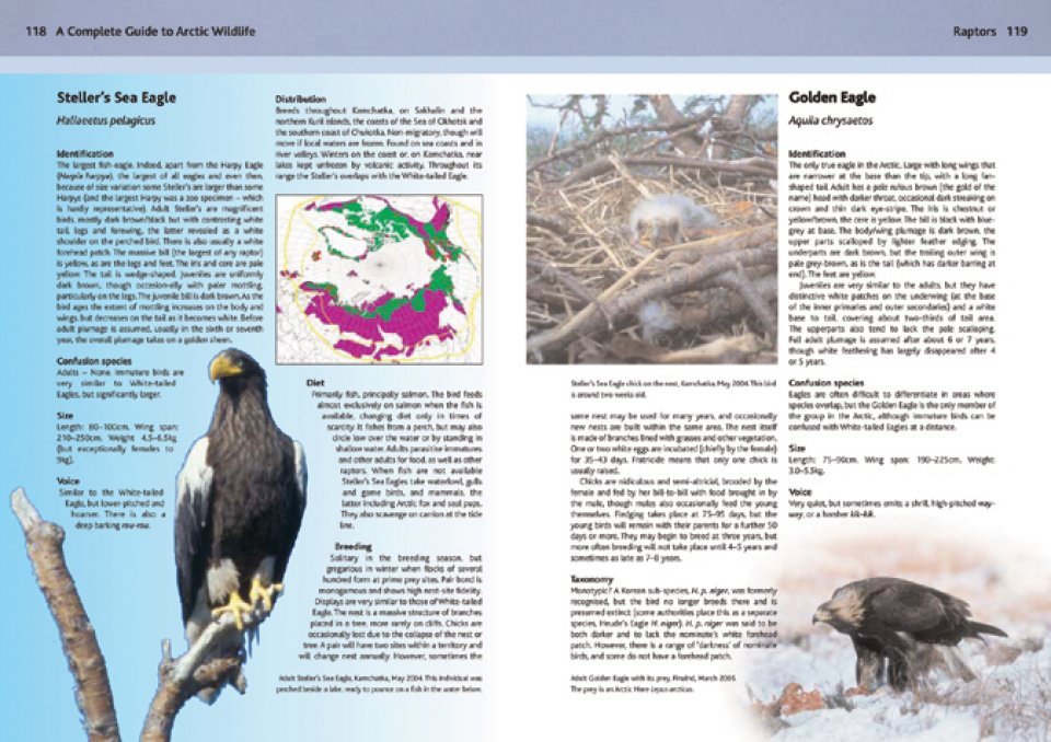a complete guide to arctic wildlife