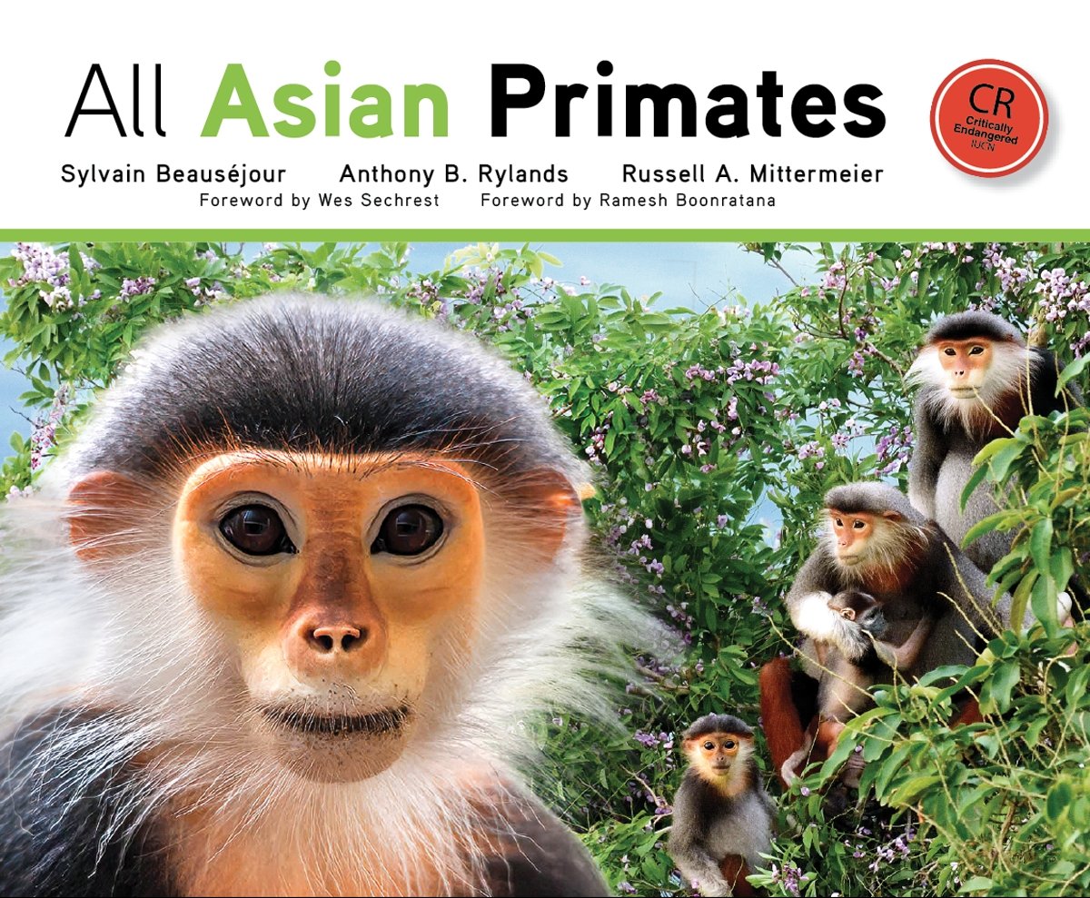 all asian primates