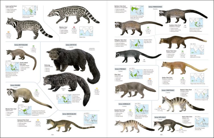all the mammals of the world