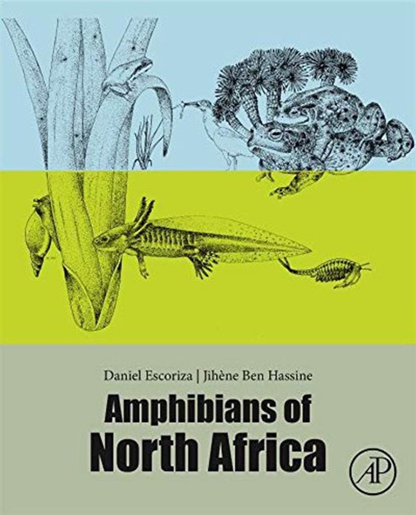 amphibians of north africa
