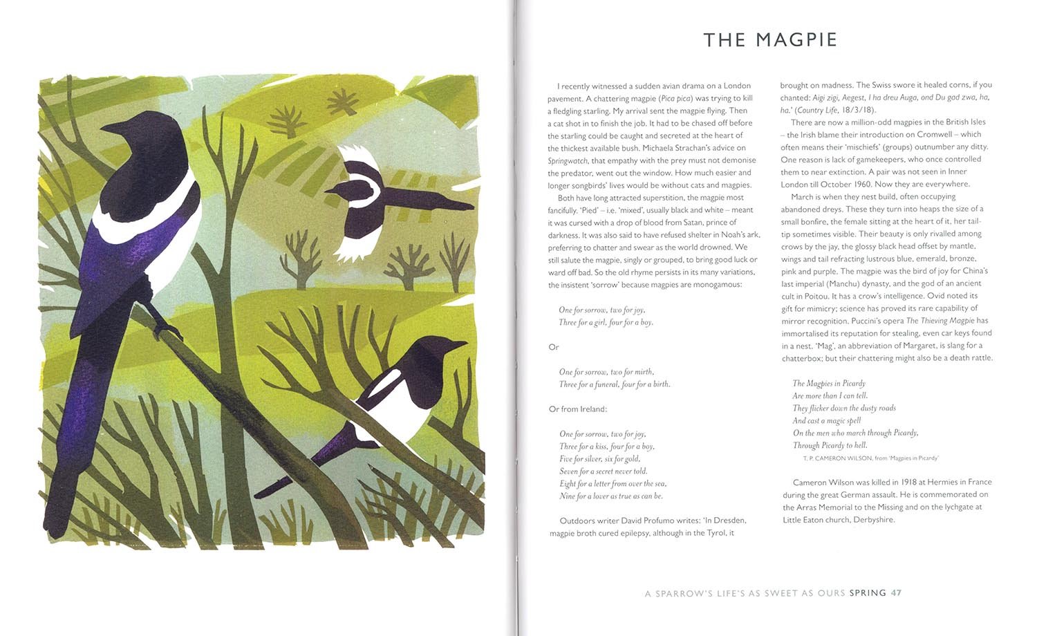 a sparrow's life's as sweet as ours