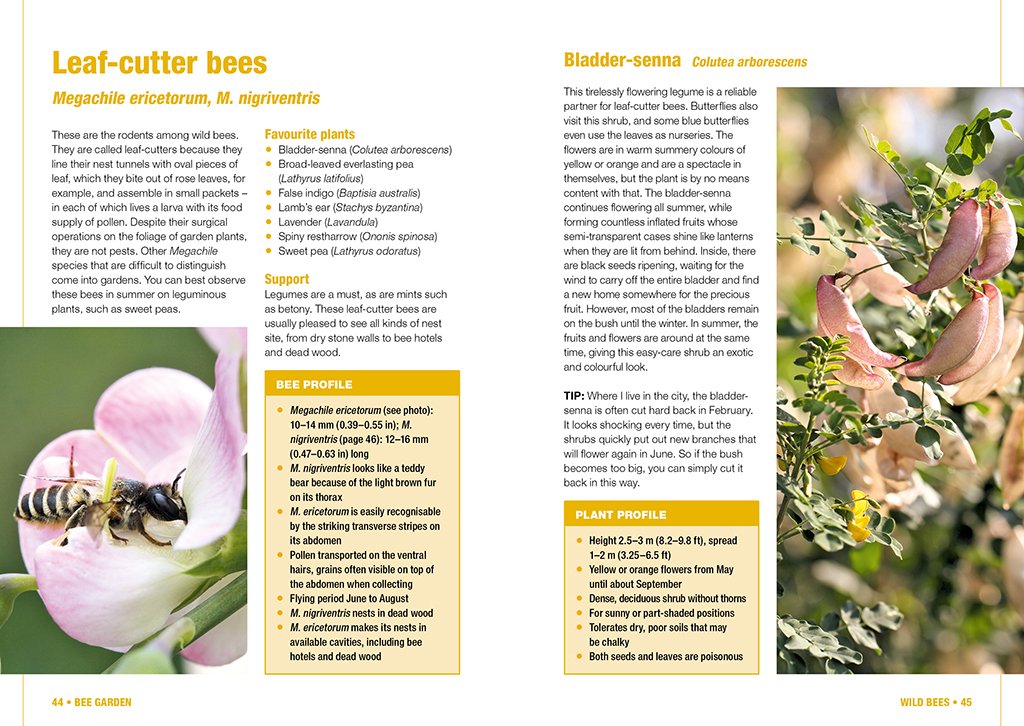 bee garden. all you need to know in one concise manual