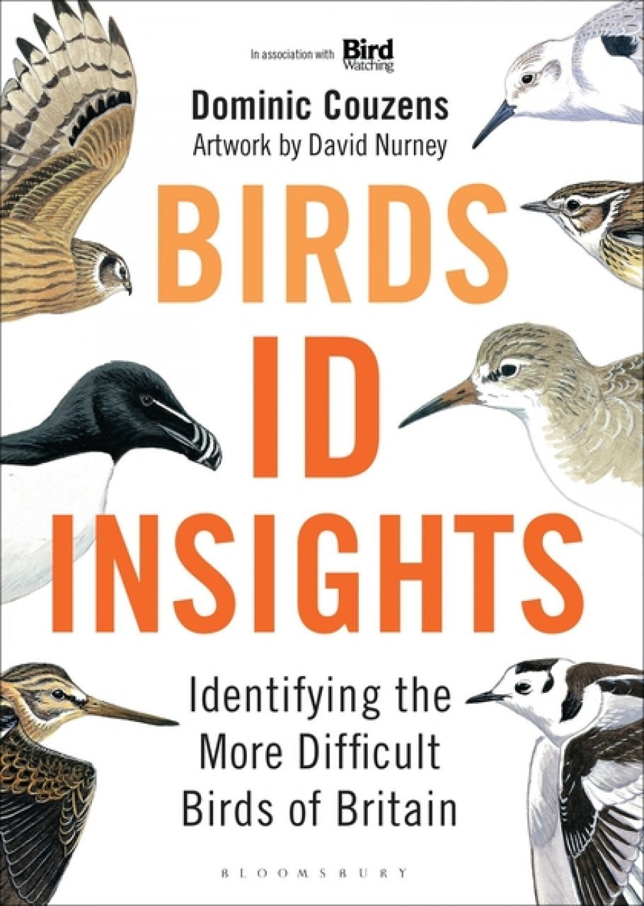 birds id insights. identifying the more difficult birds of britain and north-west europe