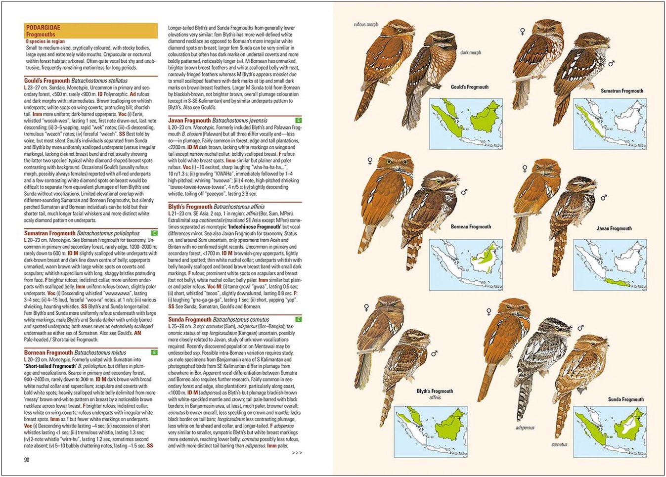 birds of the indonesian archipelago. greater sundas and wallacea