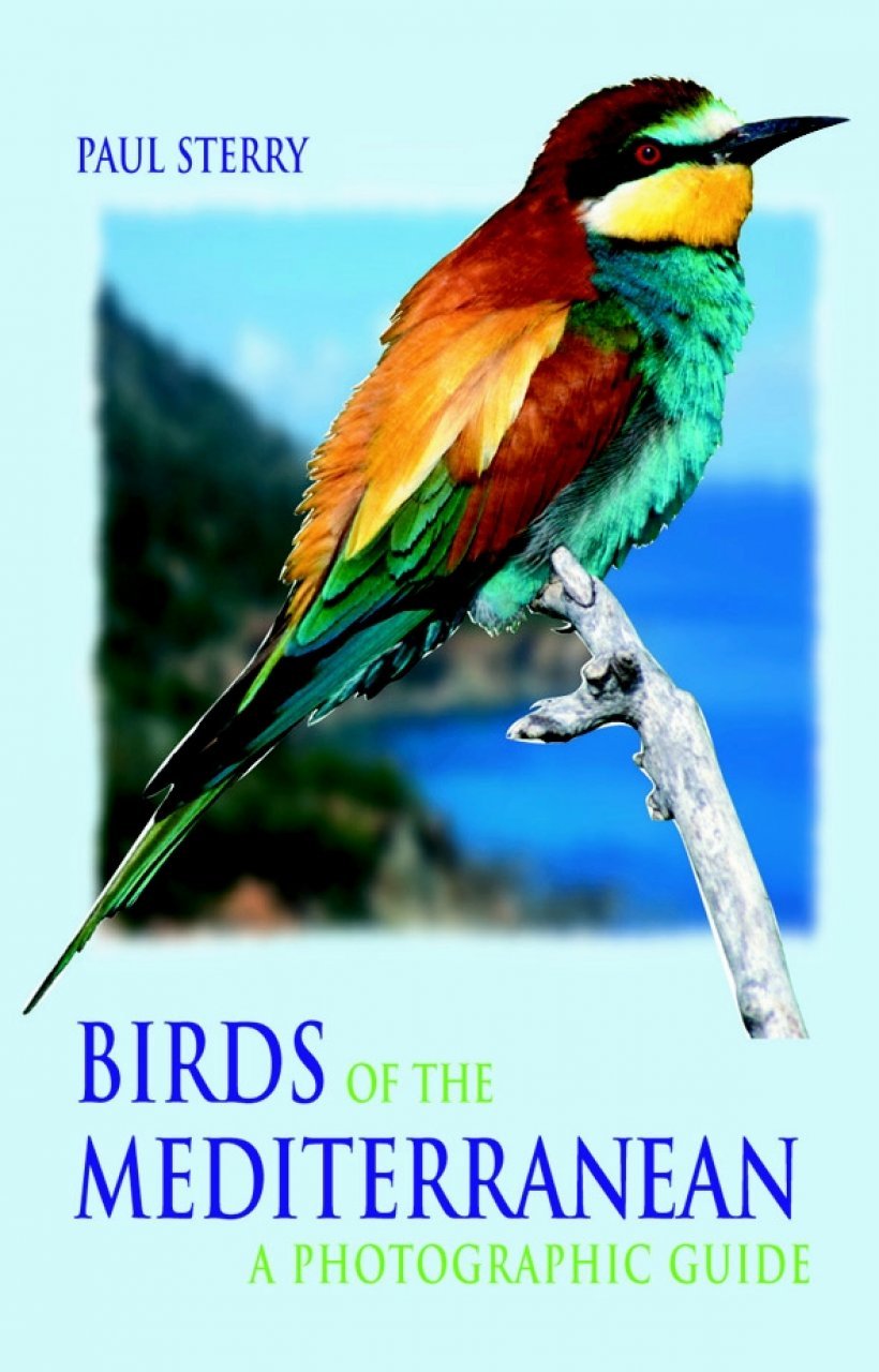 birds of the mediterranean
