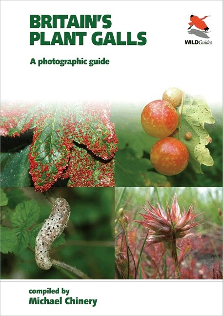 britain's plant galls. a photographic guide