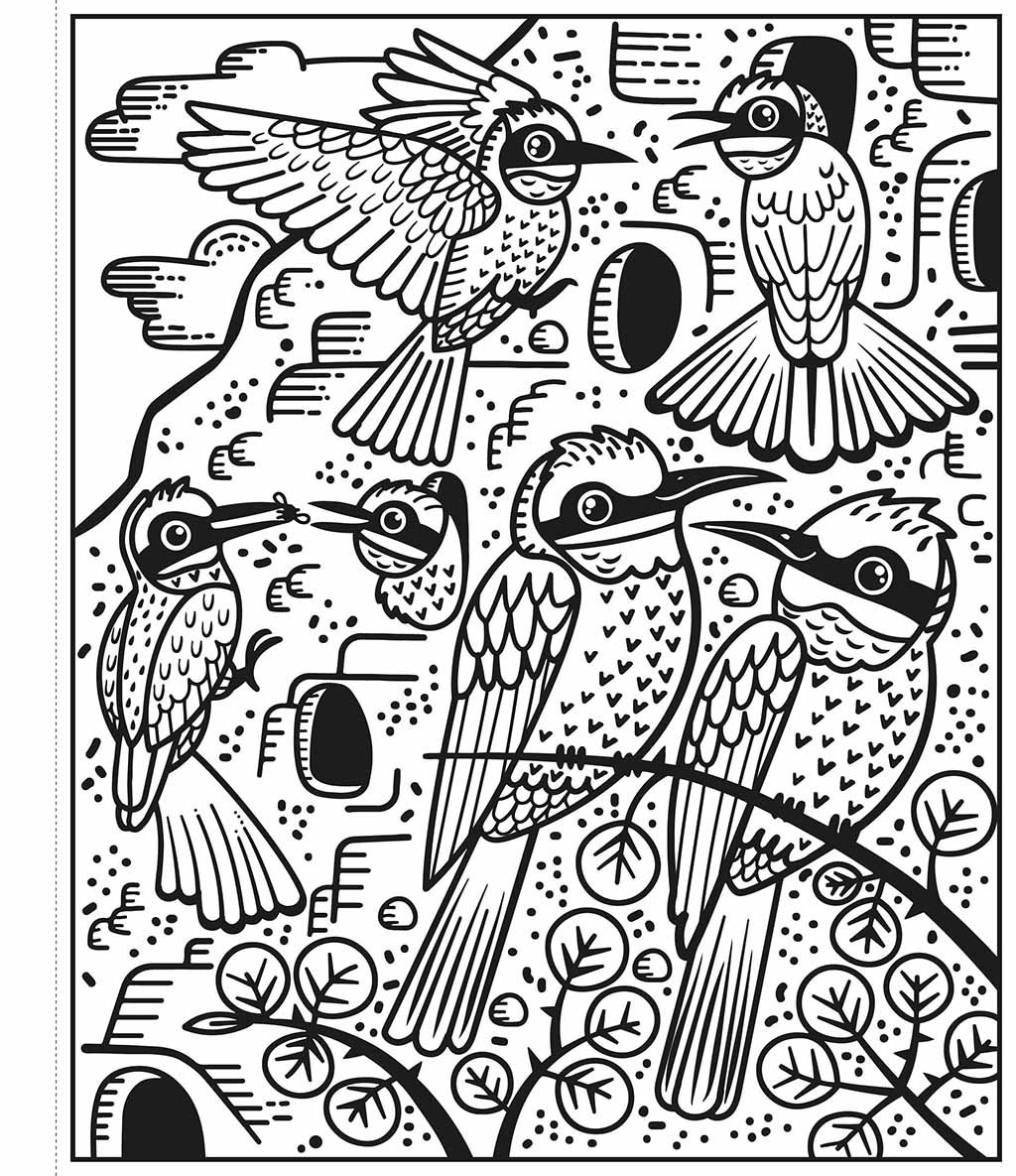 colorea por arte de magia. aves