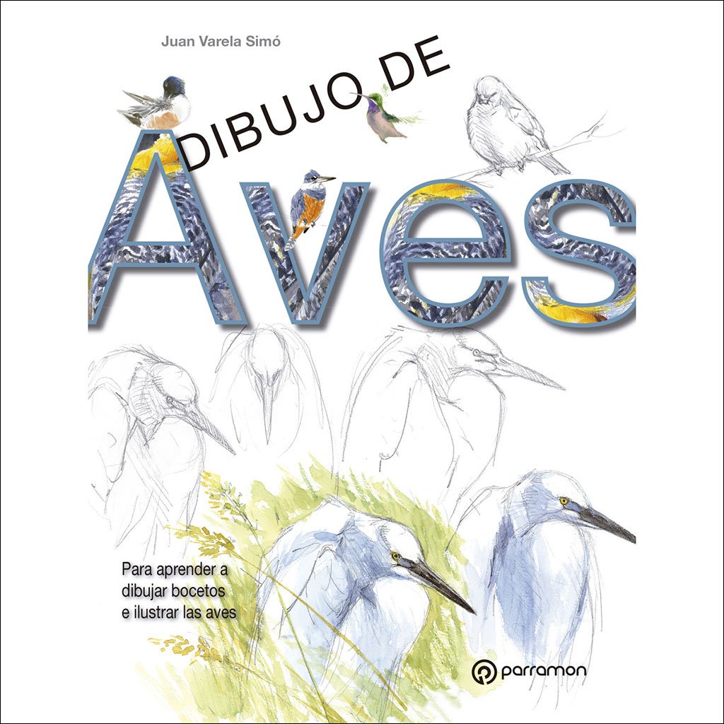 dibujo de aves. para aprender a dibujar bocetos e ilustrar aves