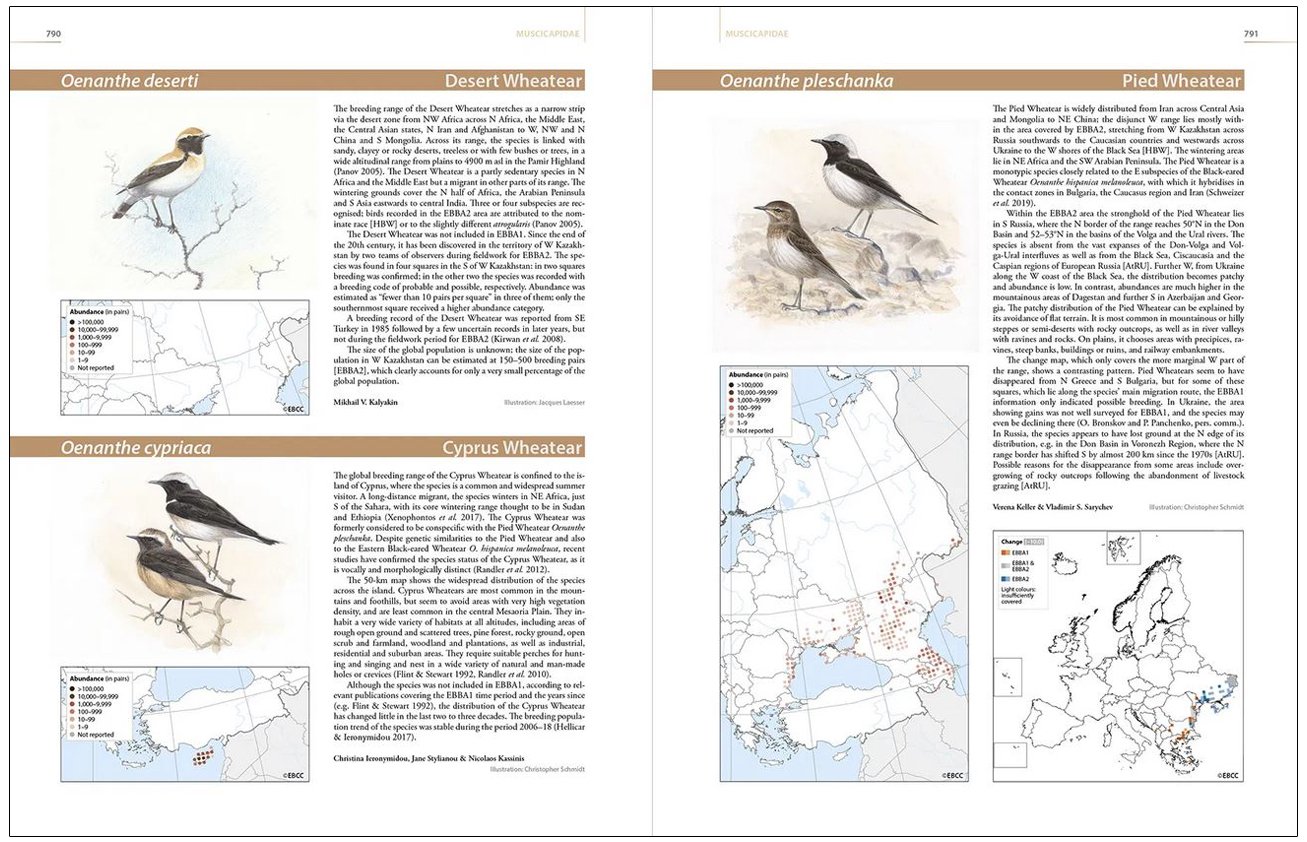 european breeding bird atlas 2. distribution, abundance and change (ebba2)