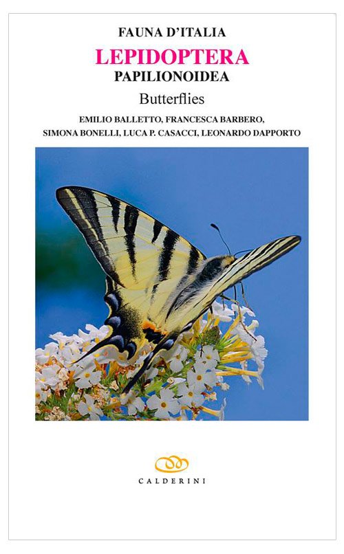 fauna d'italia. lepidoptera papilionoidea