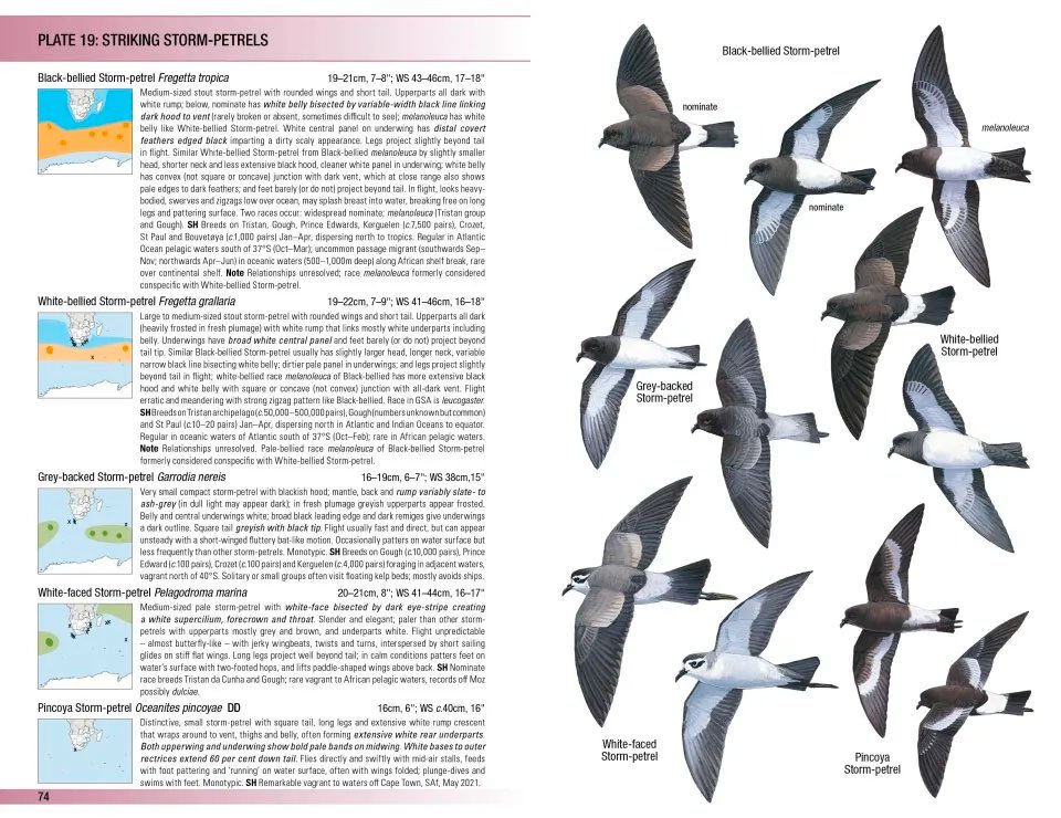 field guide to birds of greater southern africa