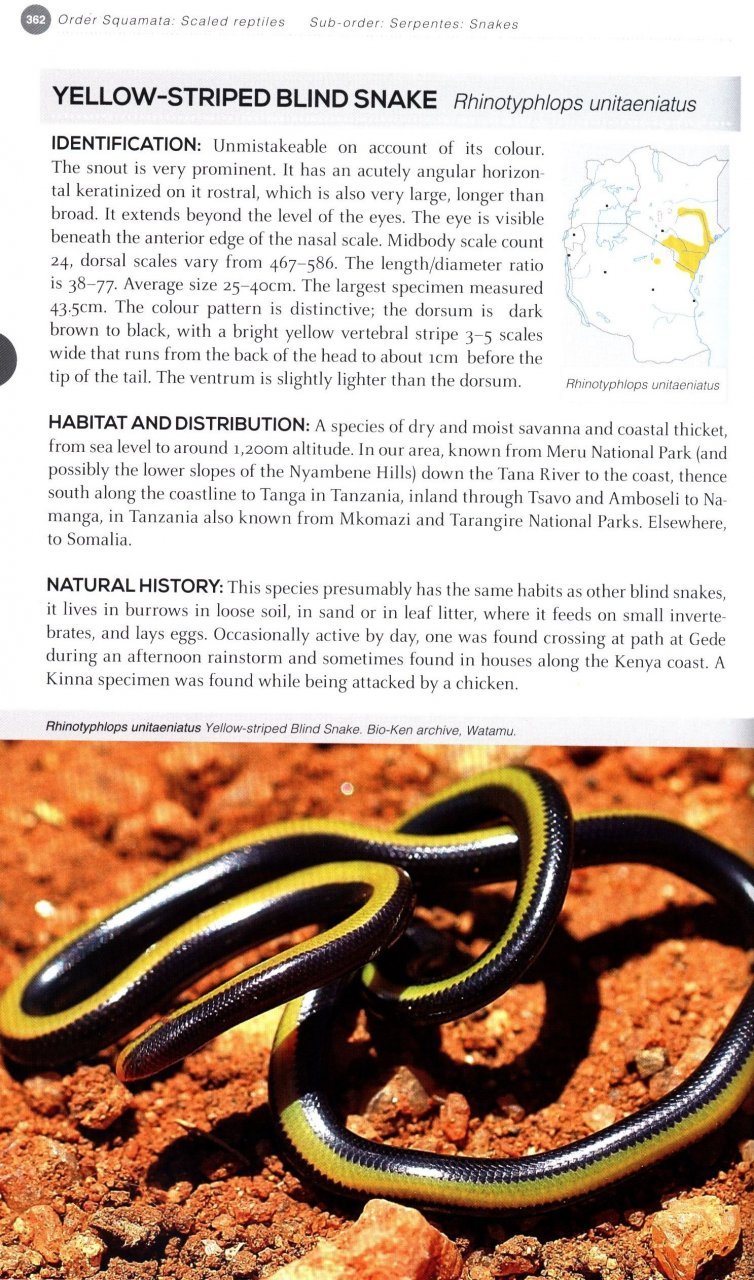 field guide to east african reptiles