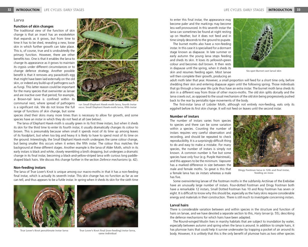 field guide to the caterpillars of great britain and ireland