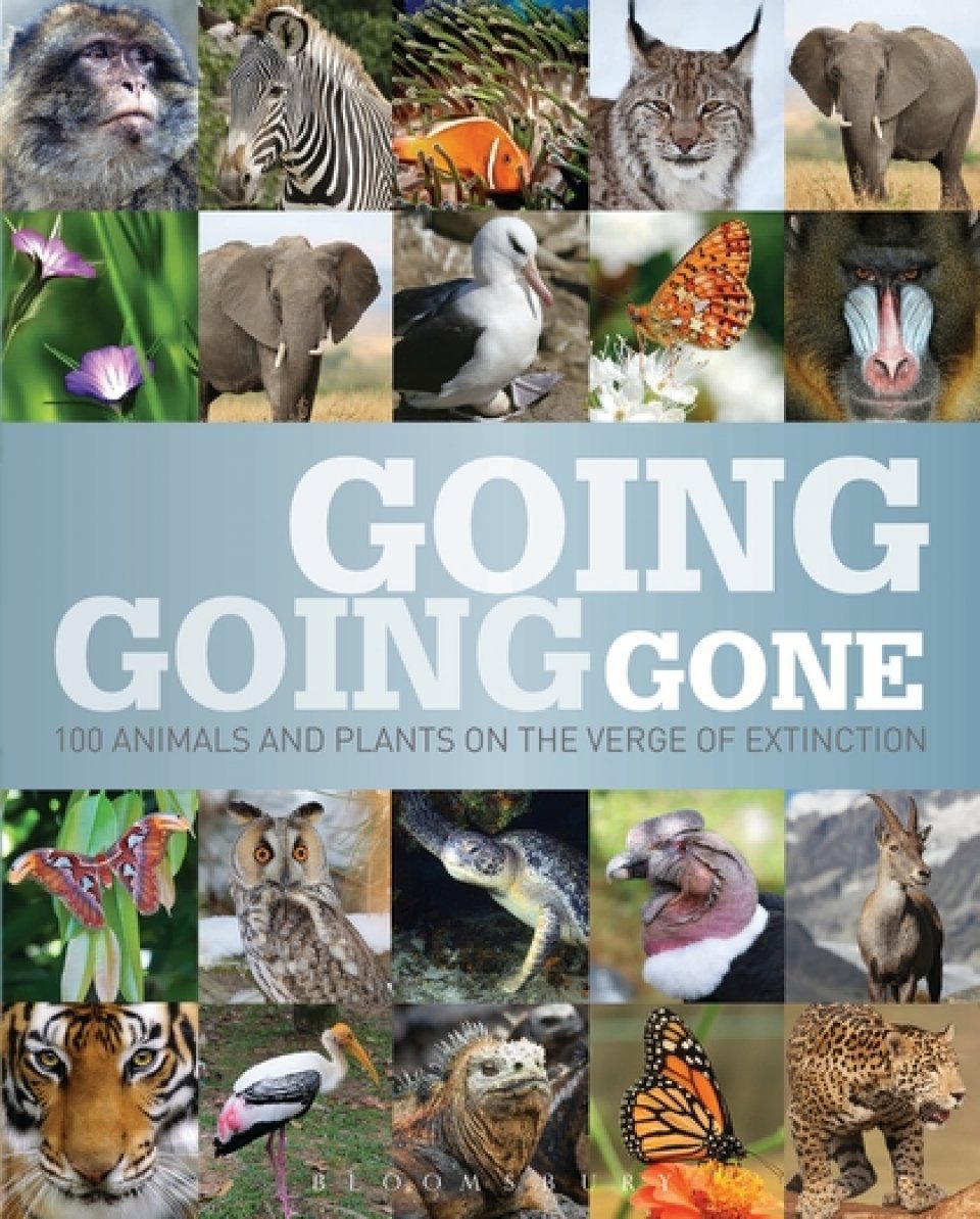 going, going, gone. 100 animals and plants on the verge of extinction