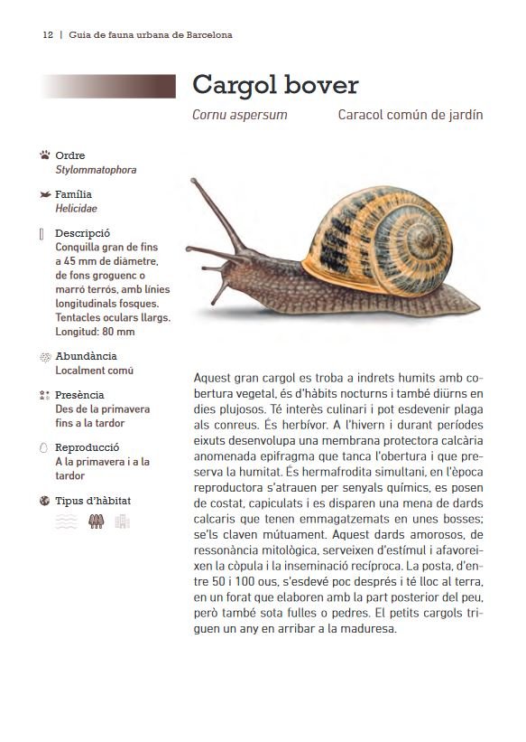guia de la fauna urbana de barcelona