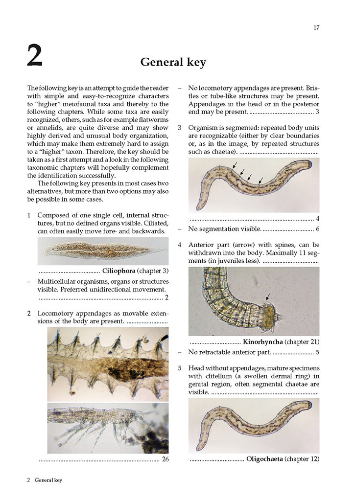 guide to the identification of marine meiofauna