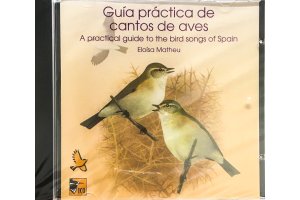 guies sonores