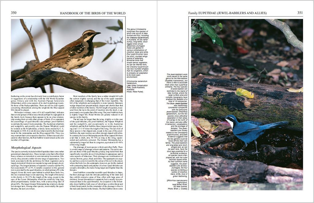 handbook of the birds of the world, vol. 12. picathartes to tits and chickadees