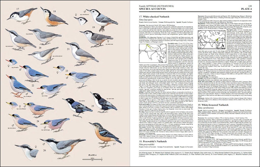 handbook of the birds of the world, vol. 13. penduline-tits to shrikes
