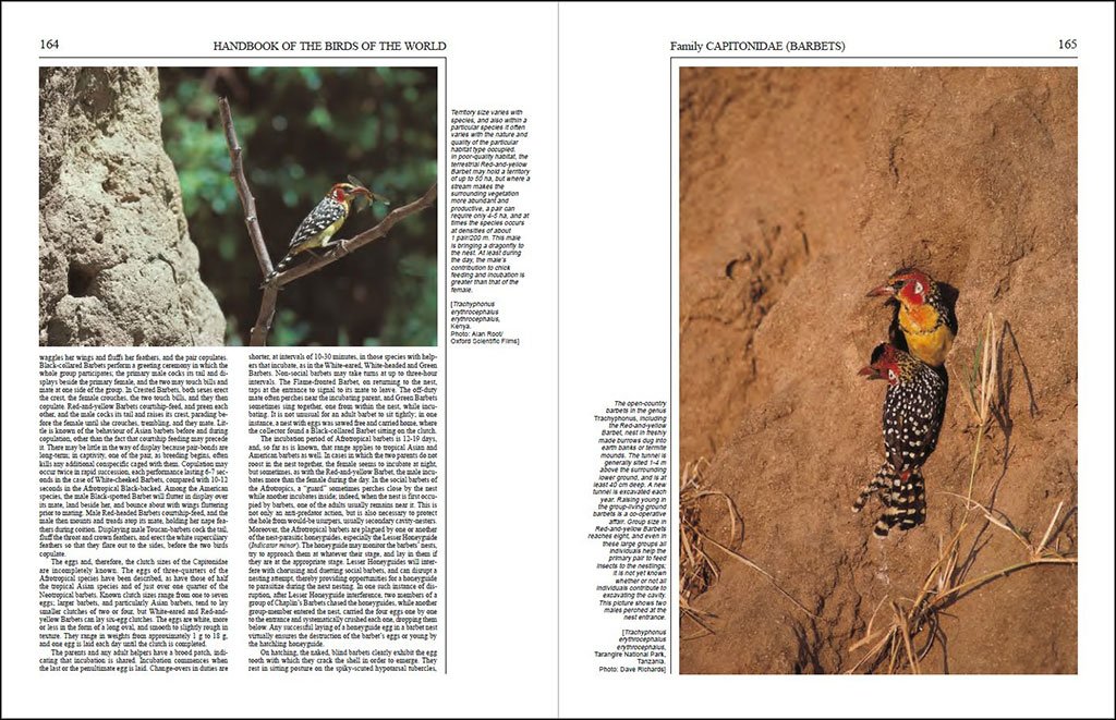 handbook of the birds of the world, vol. 7. jacamars to woodpeckers