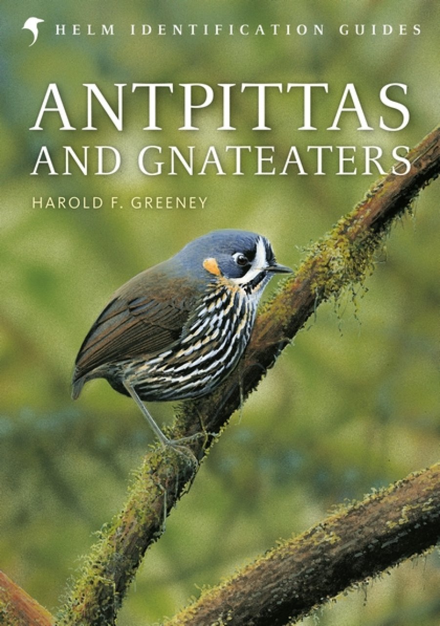 helm identification guides. antpittas and gnateaters