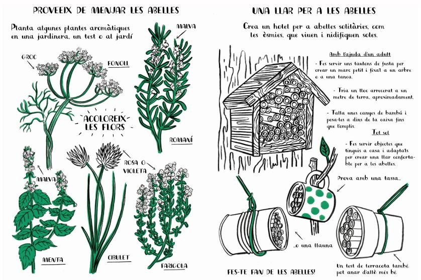 hola, natura. explora, dibuixa, crea i descobreix la natura