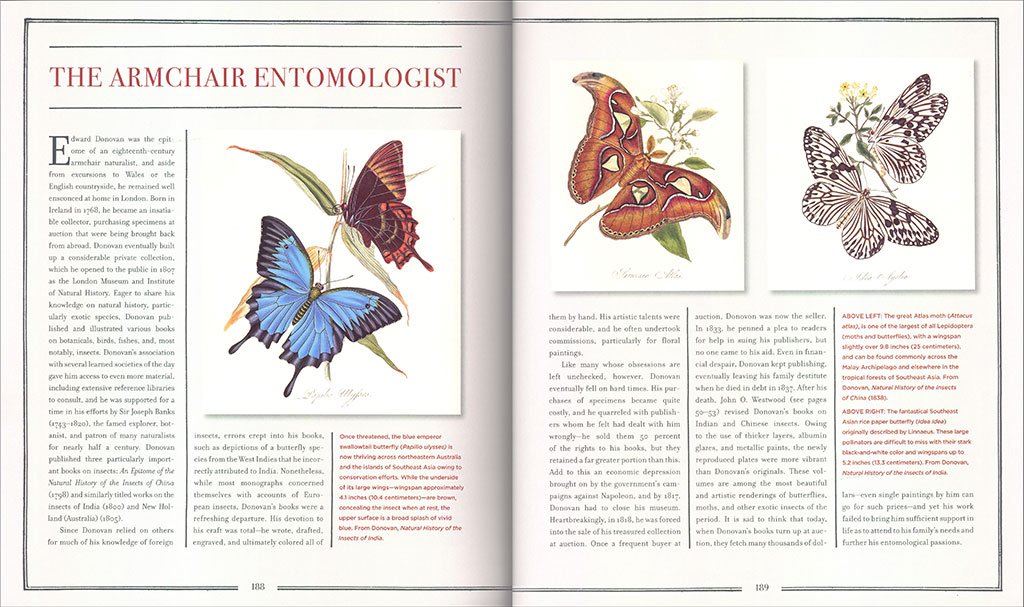 innumerable insects. the story of the most diverse and myriad animals on earth