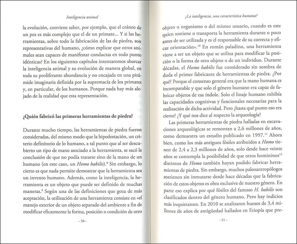 inteligencia animal. cabeza de chorlitos y memoria de elefantes