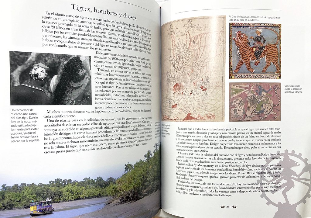 los senderos del tigre. historias de tigres y humanos