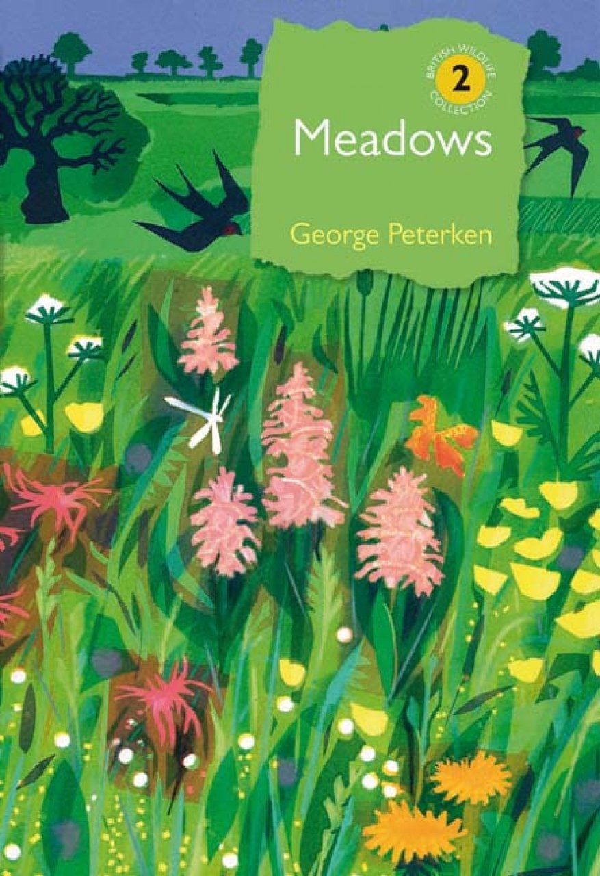 meadows. british wildlife collection