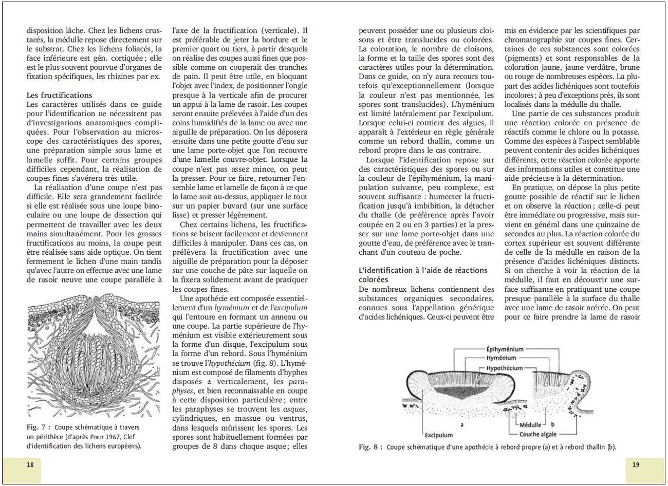 mousses et lichens. 290 especes faciles a identifier