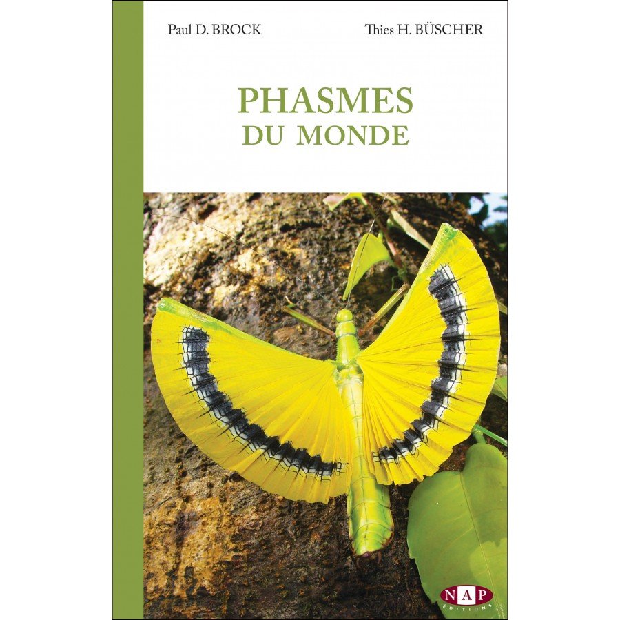 phasmes du monde
