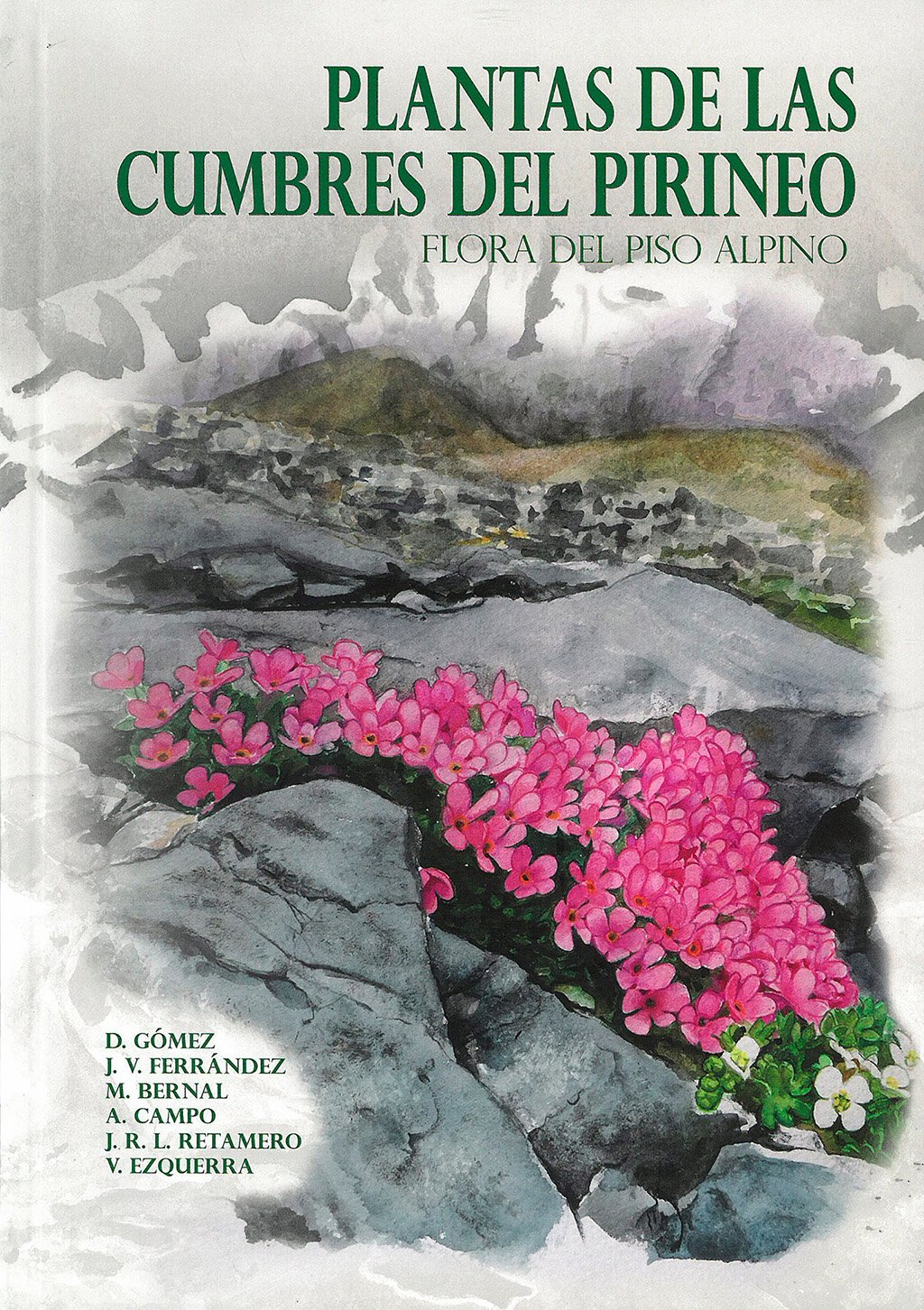 plantas de las cumbres del pirineo. flora del piso alpino