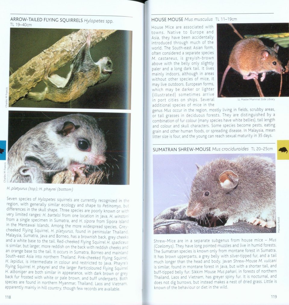pocket photo guide to the mammals of south-east asia